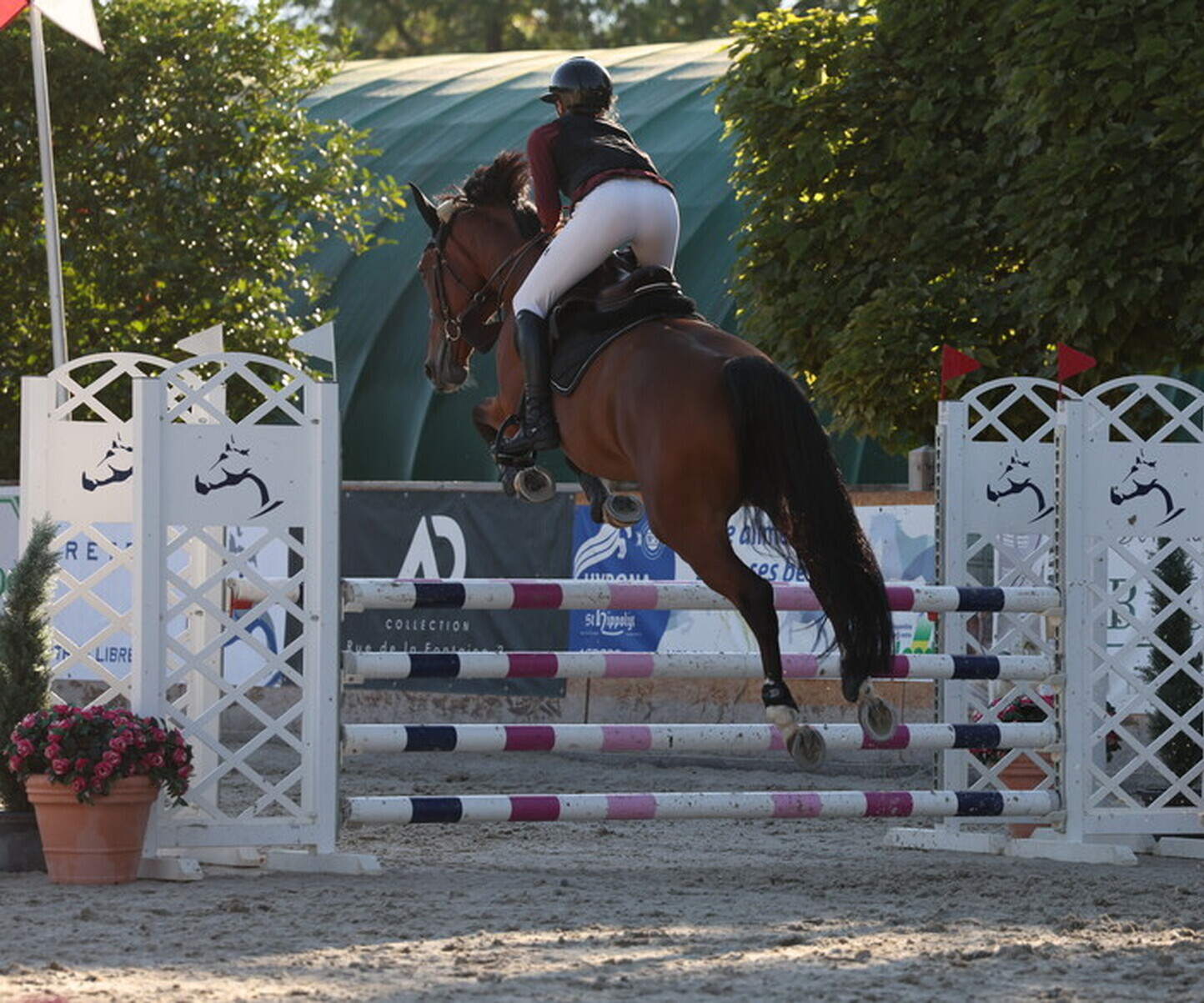 Description de l'image