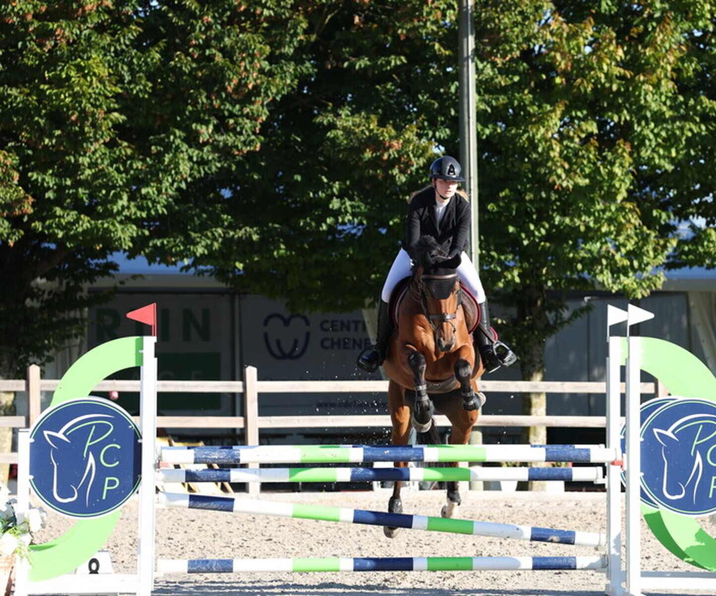 Description de l'image