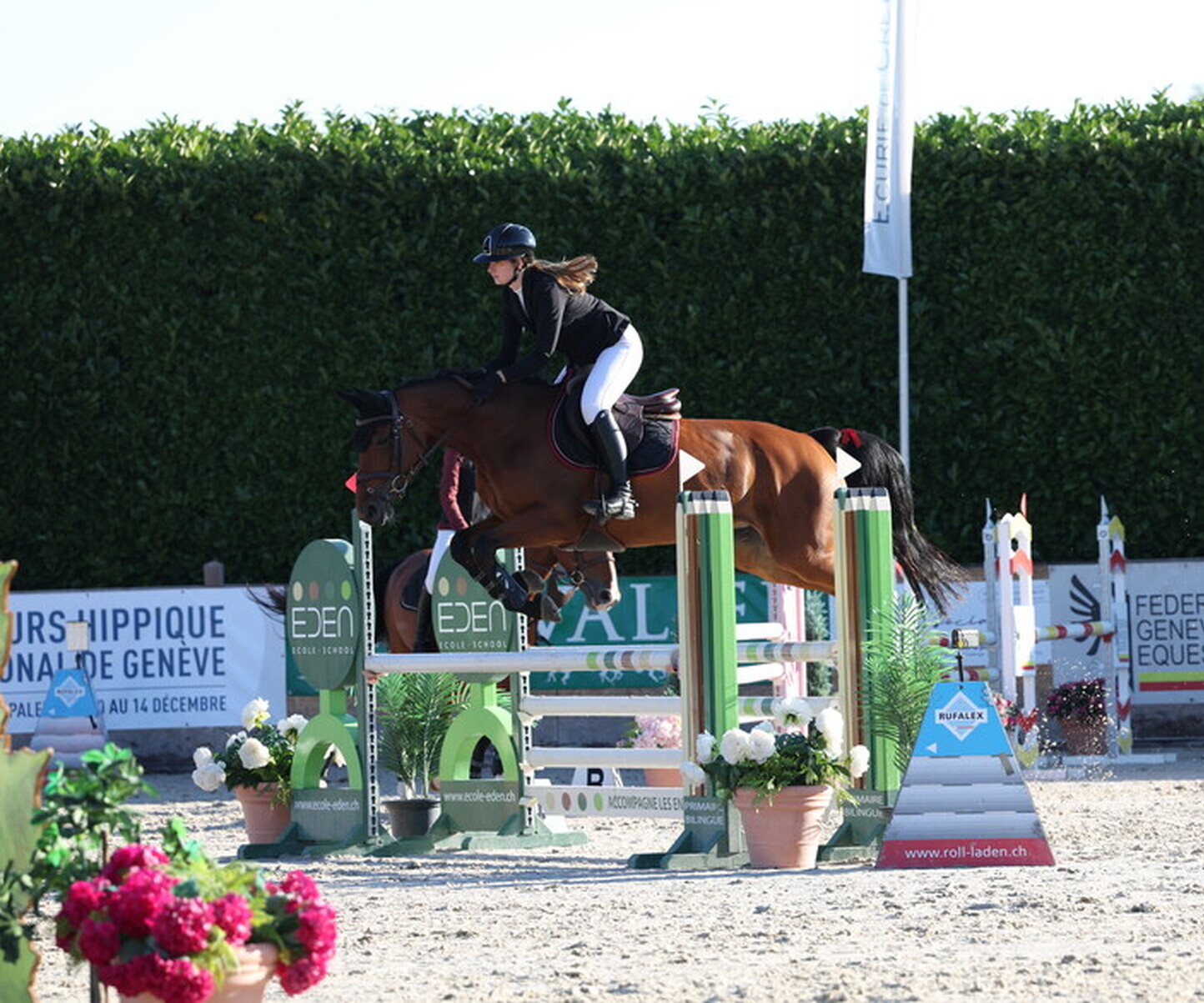 Description de l'image