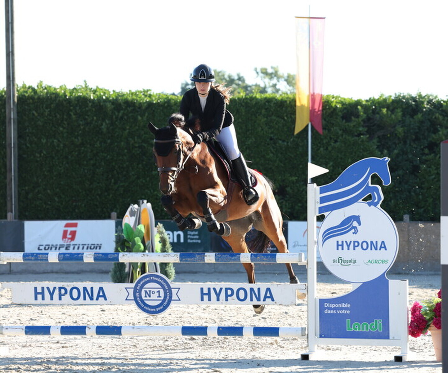 Description de l'image