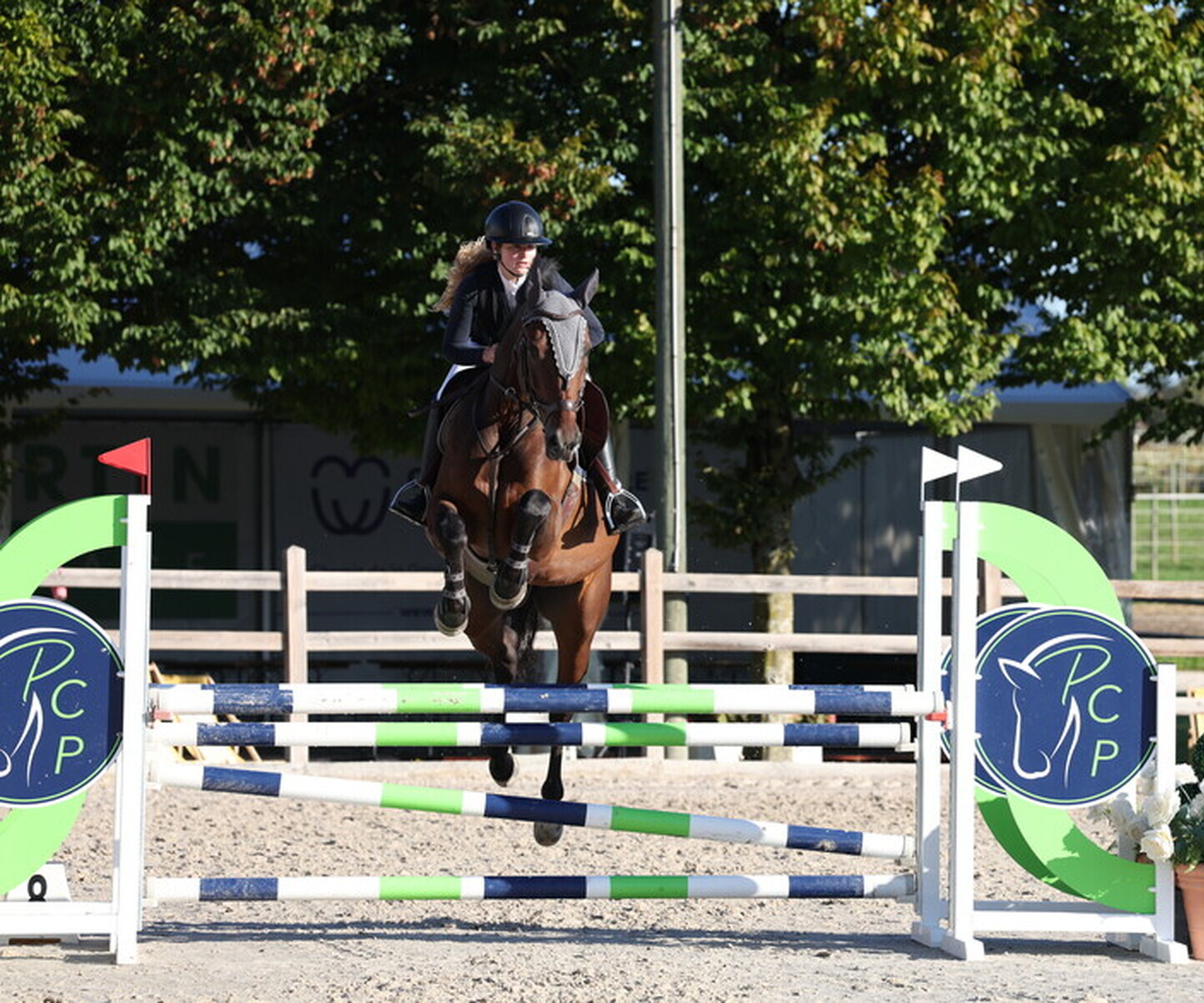 Description de l'image