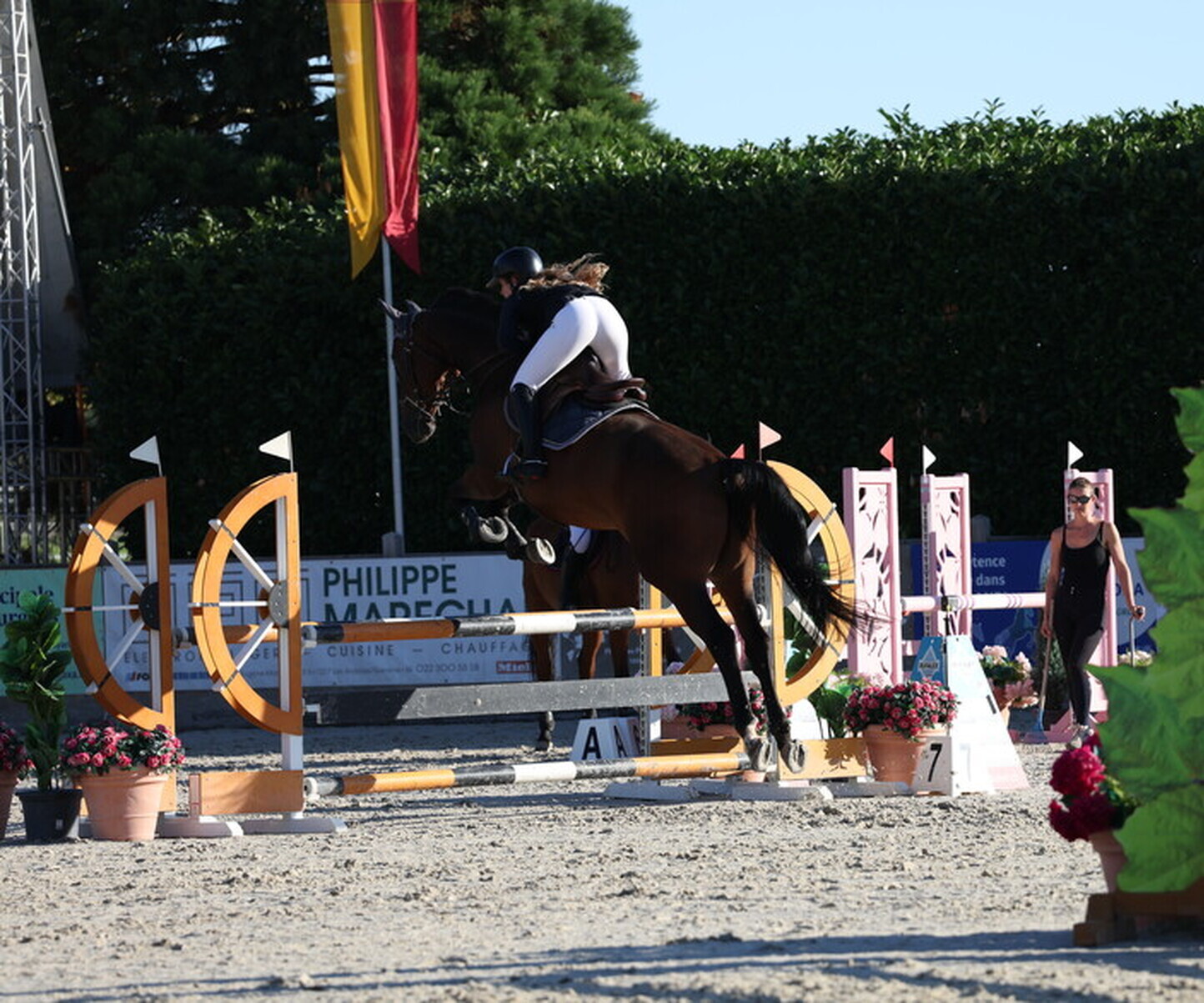 Description de l'image