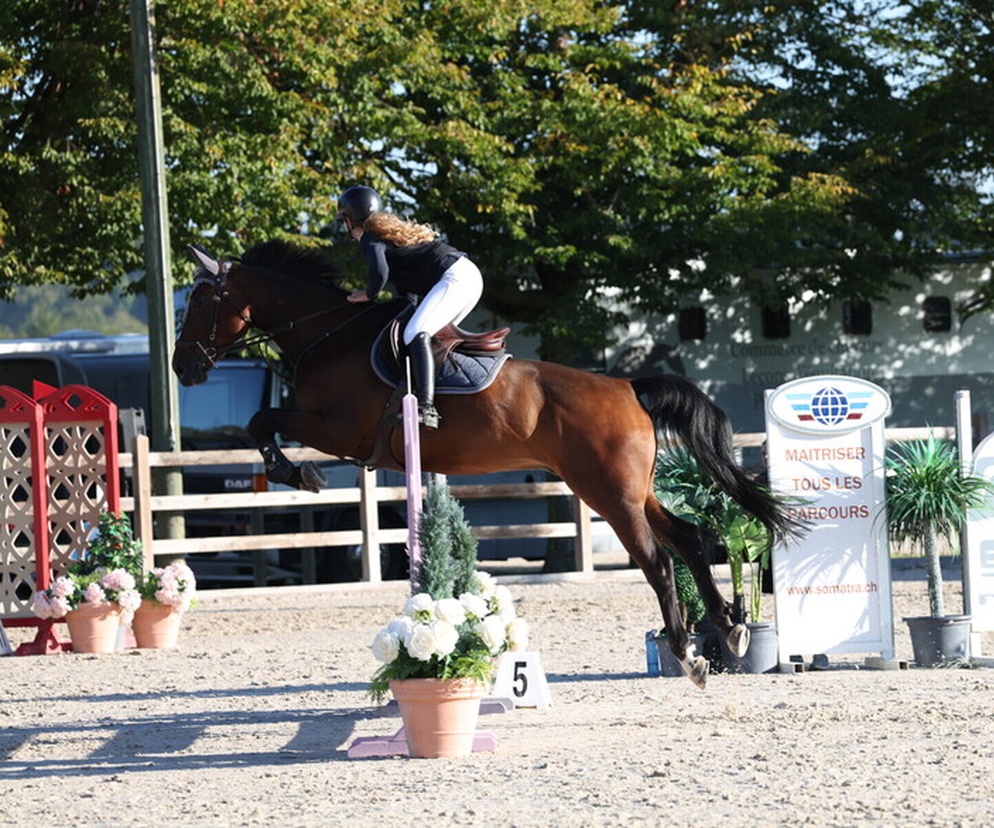 Description de l'image