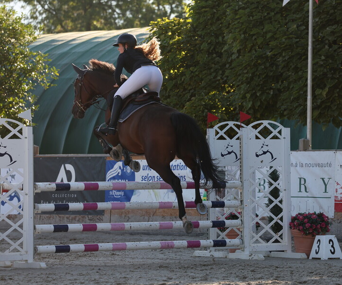 Description de l'image