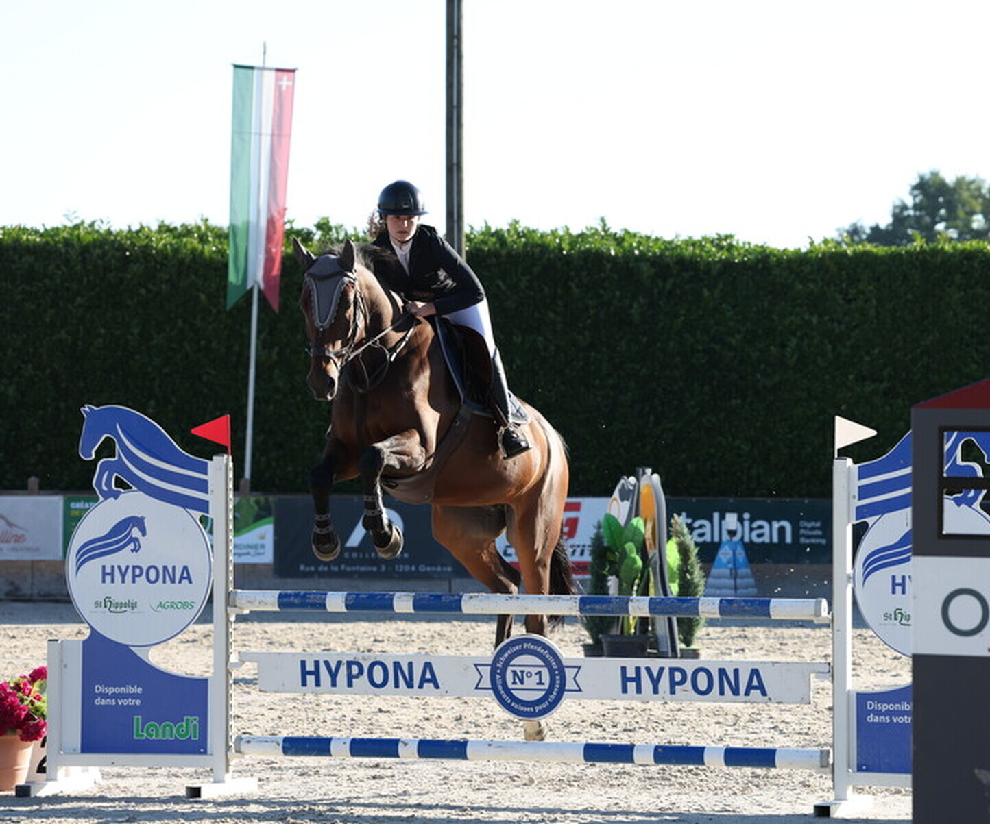 Description de l'image