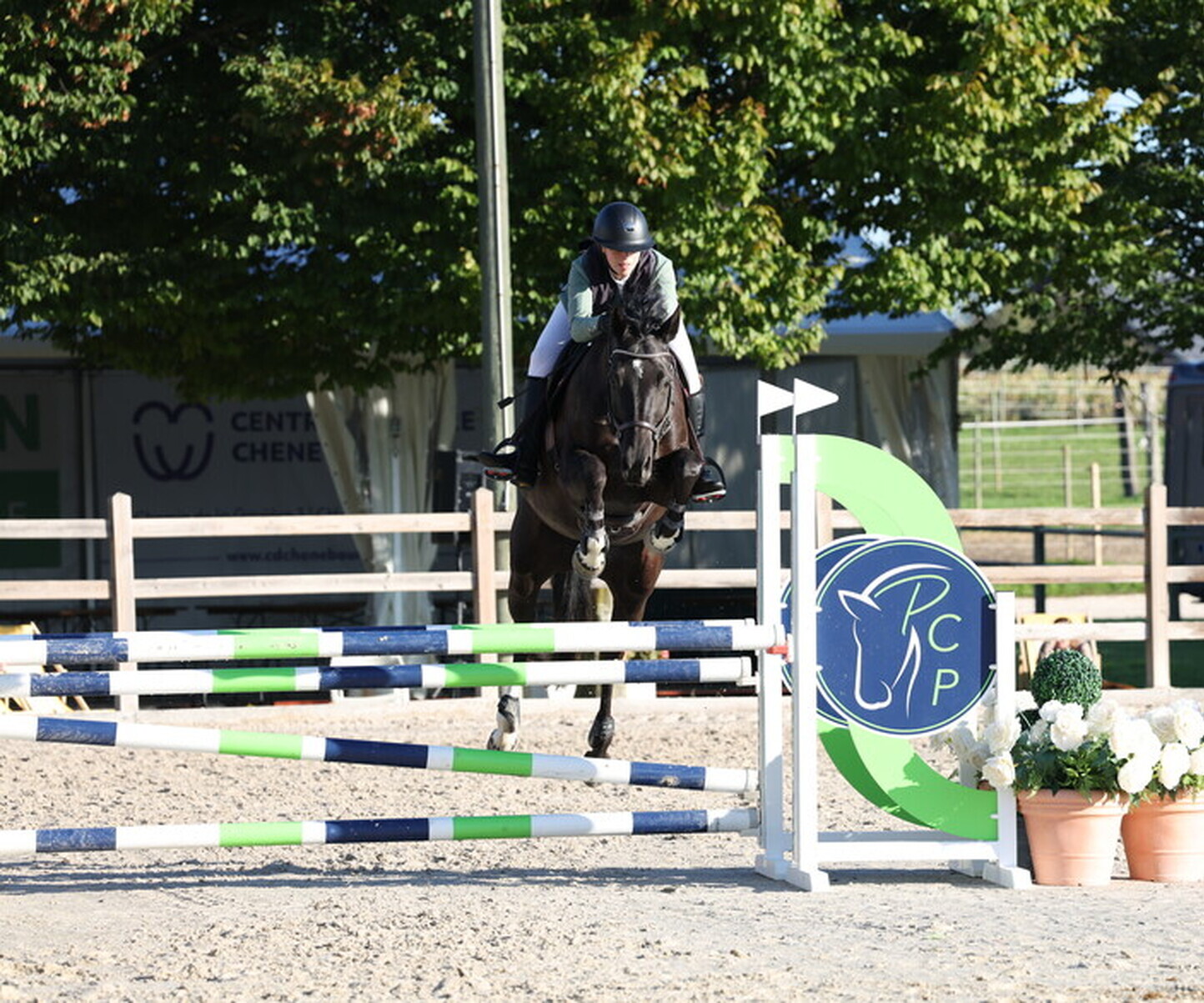 Description de l'image