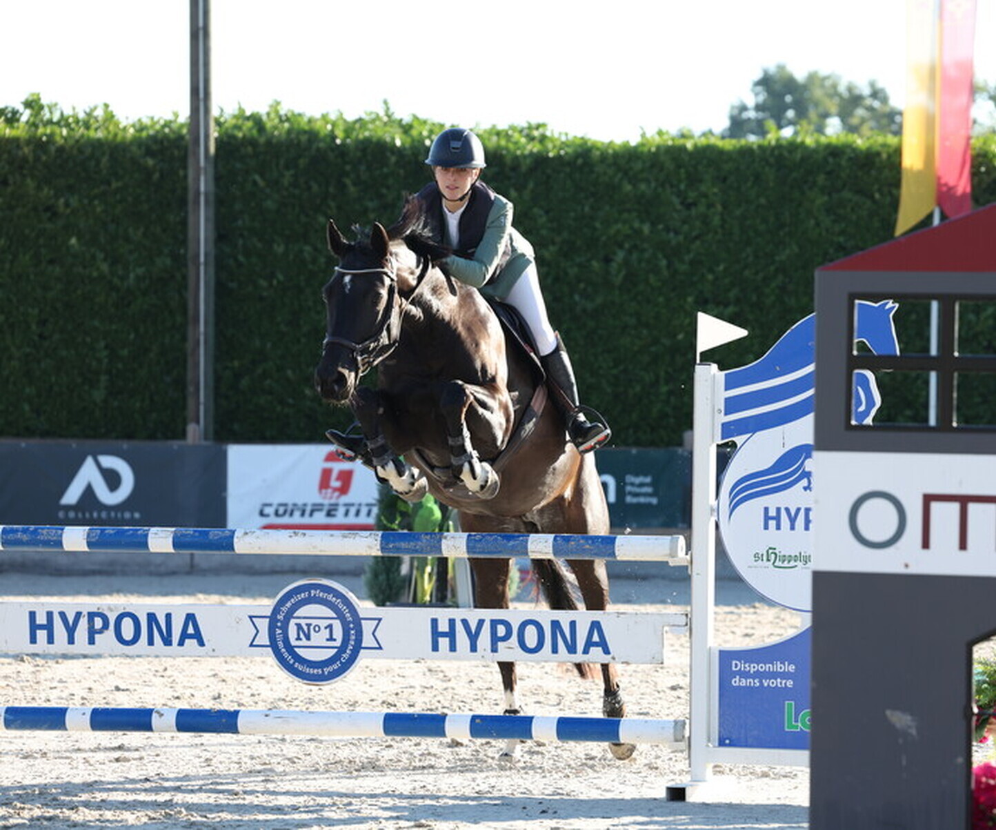 Description de l'image