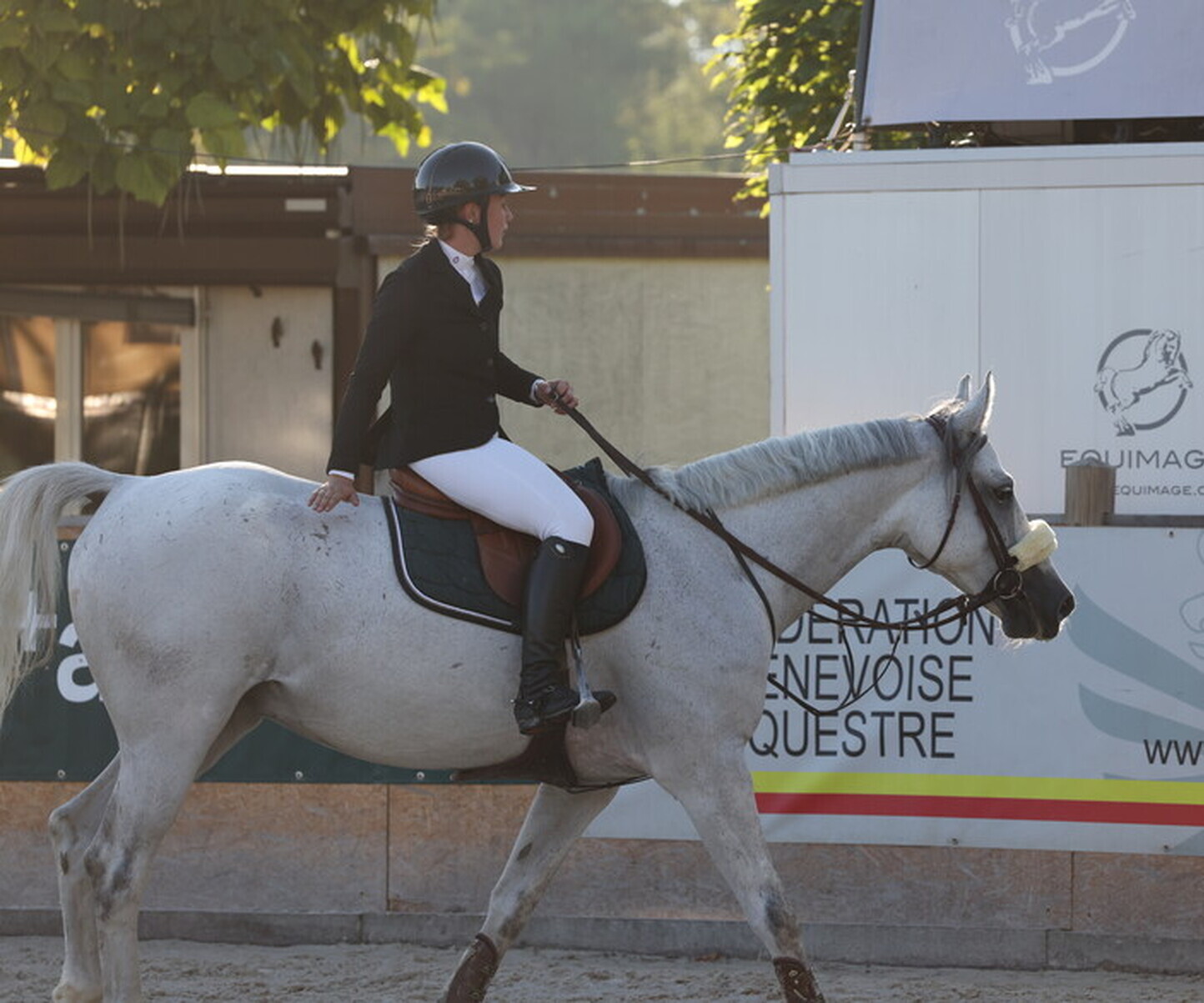 Description de l'image