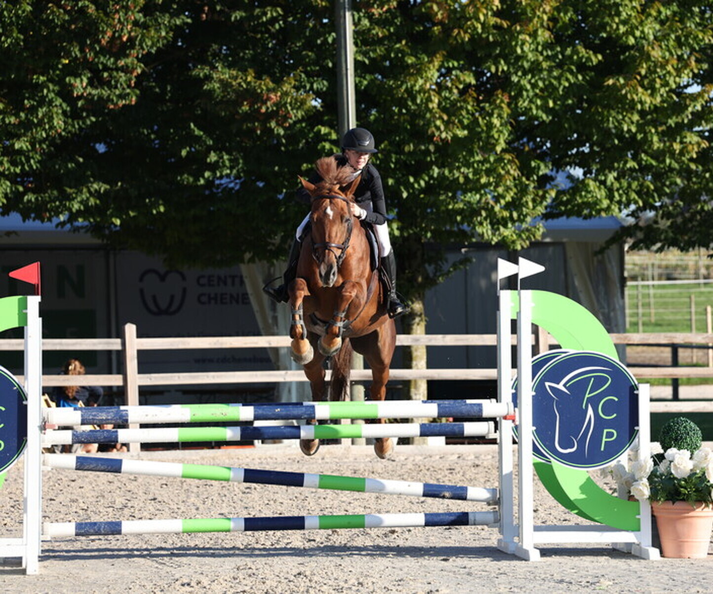 Description de l'image