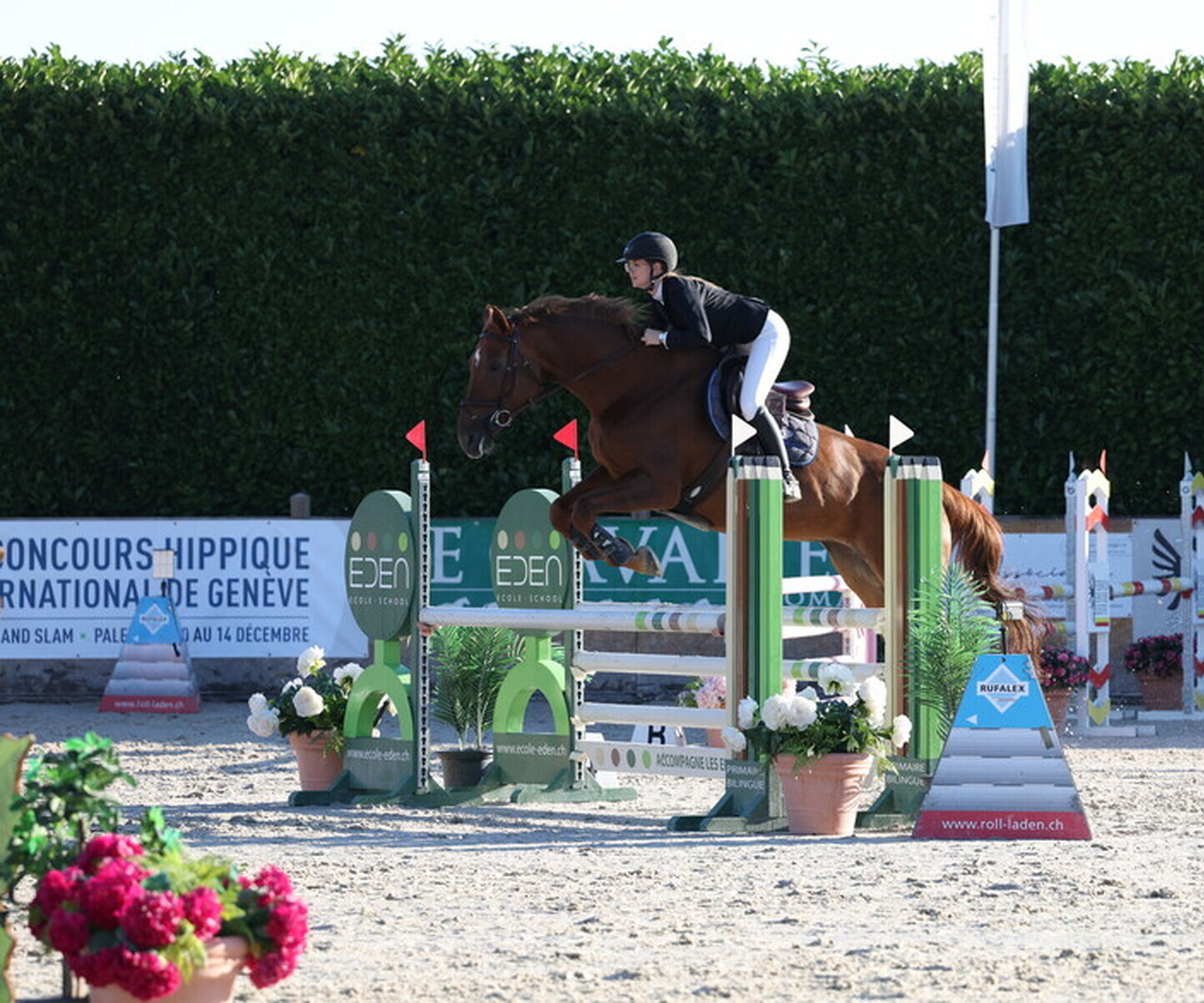 Description de l'image