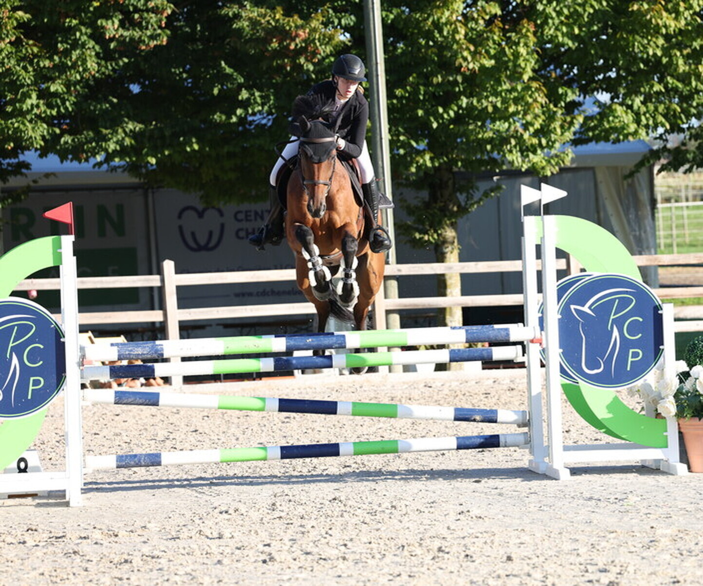 Description de l'image