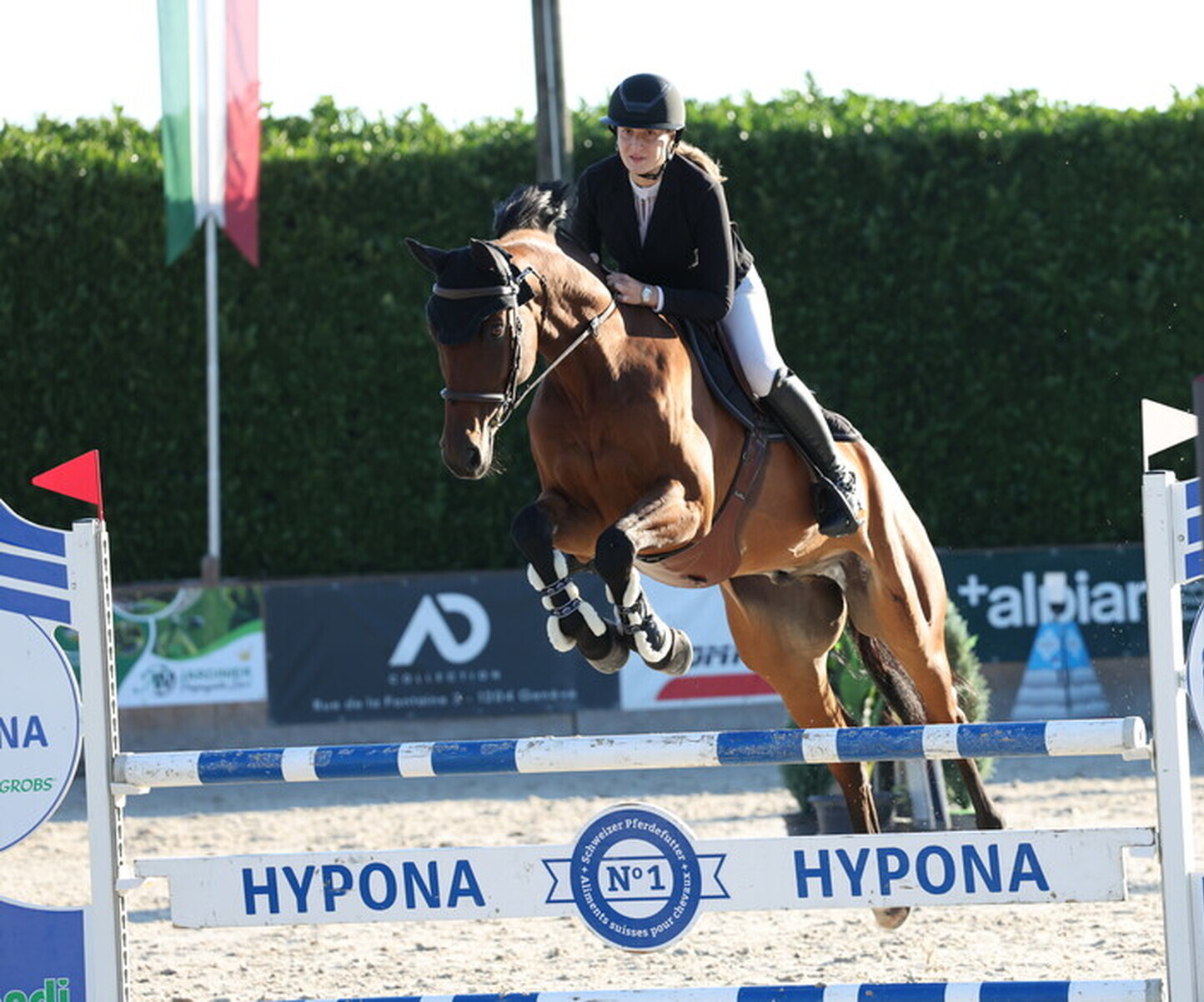 Description de l'image