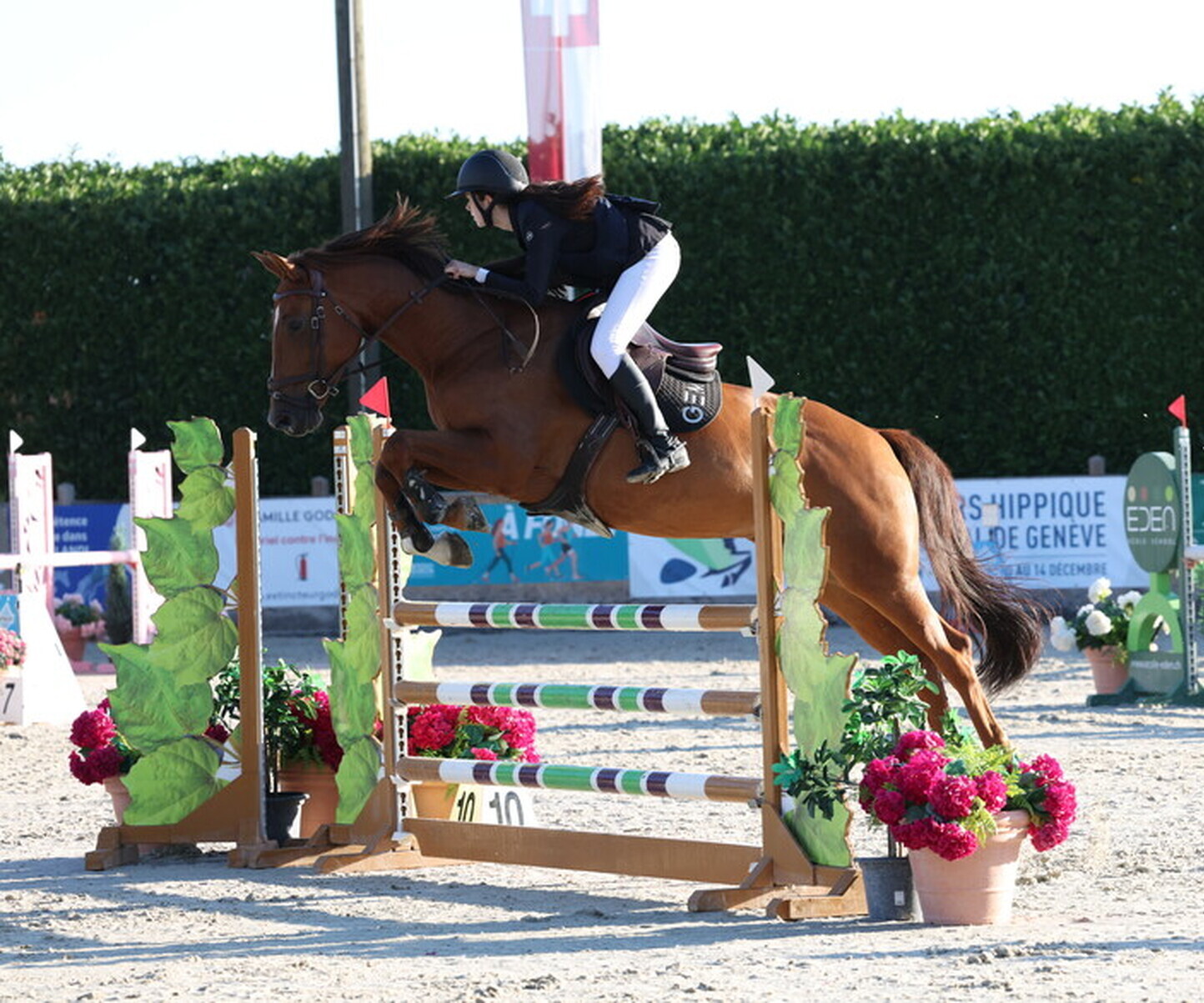 Description de l'image