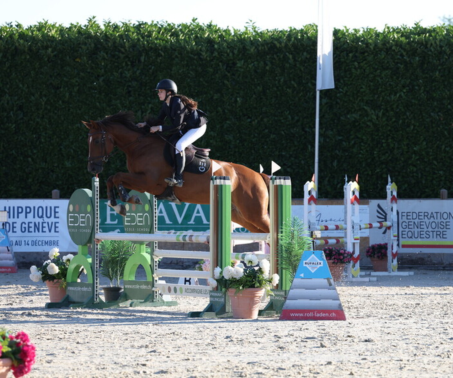 Description de l'image