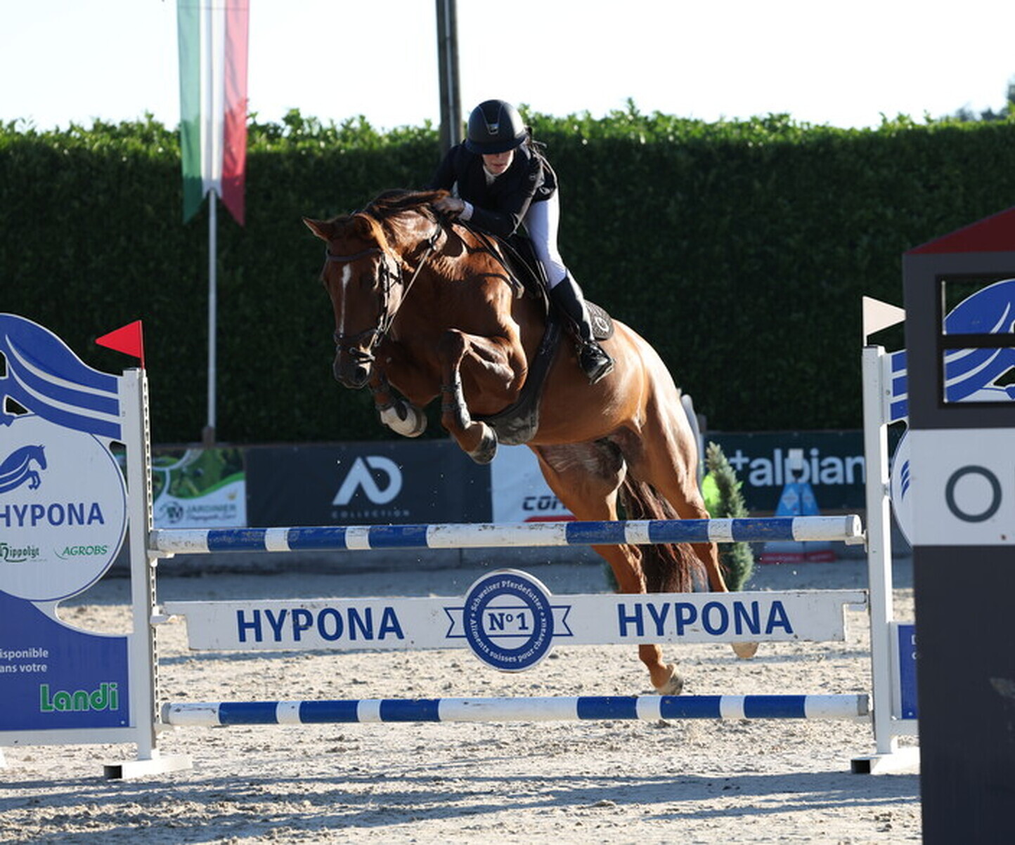 Description de l'image