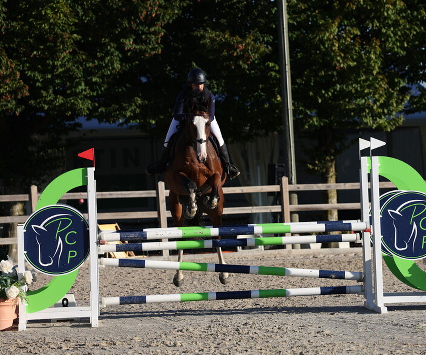 Description de l'image