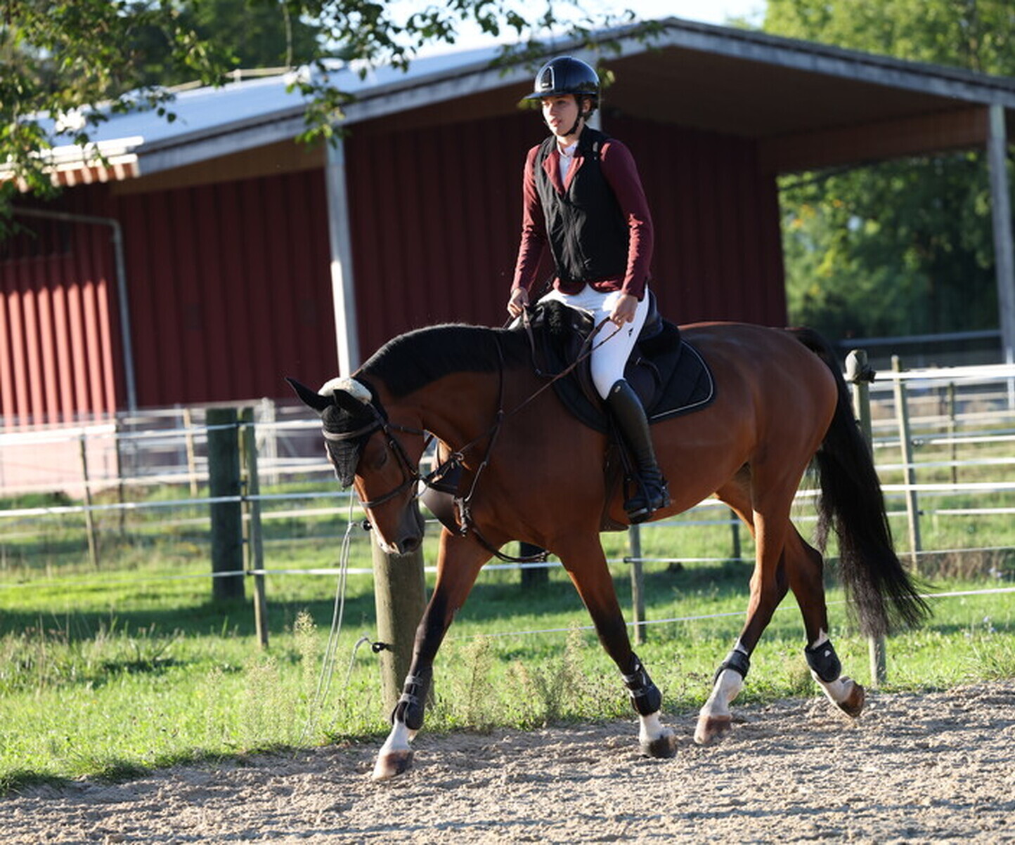 Description de l'image