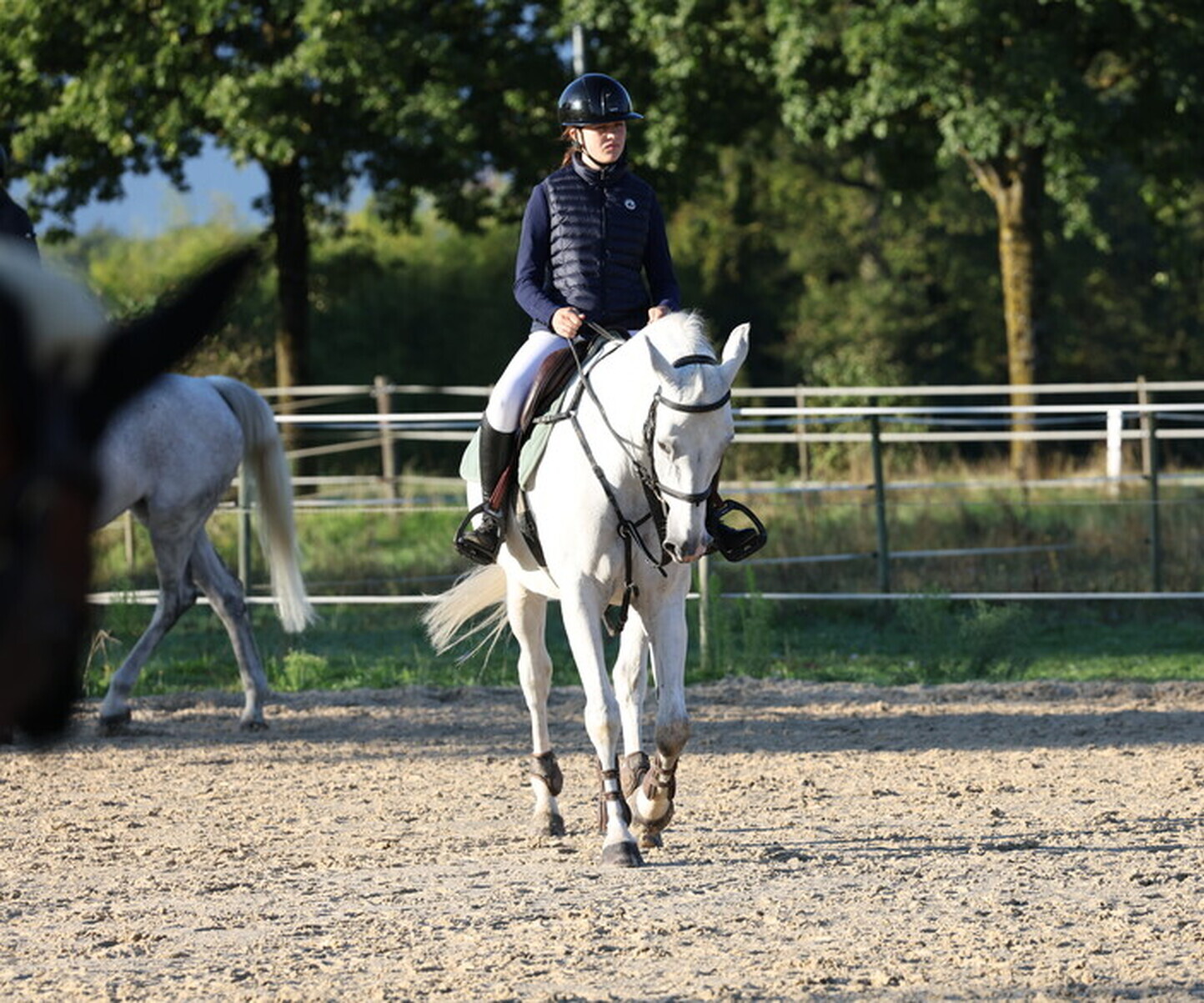 Description de l'image