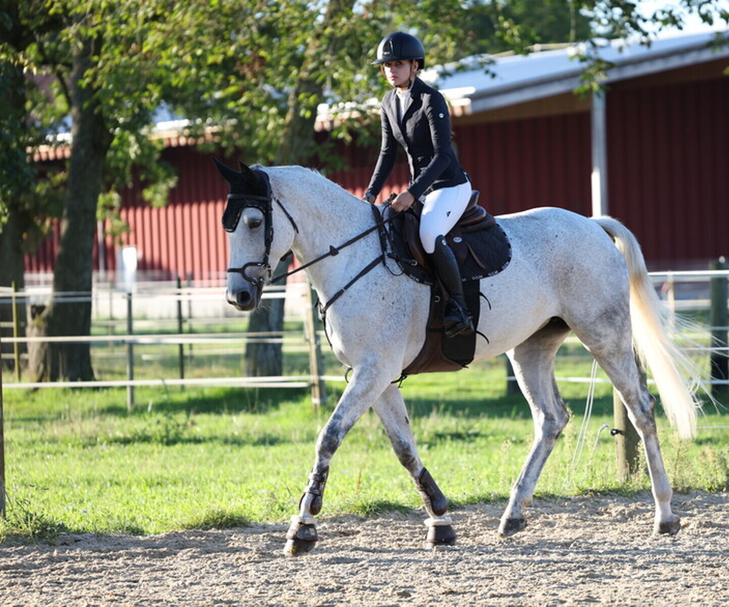 Description de l'image