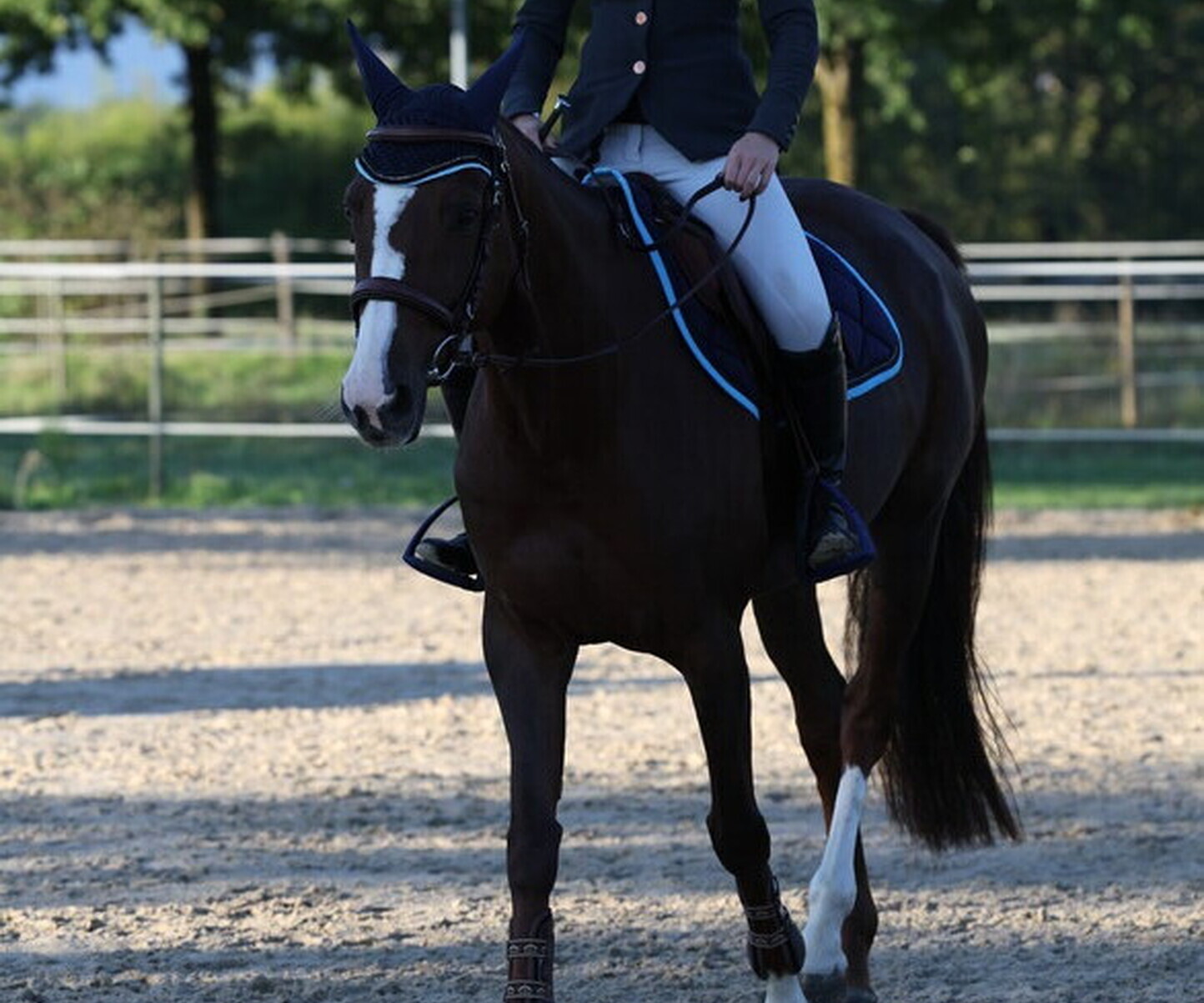 Description de l'image