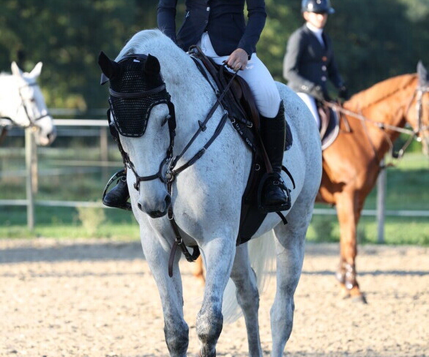 Description de l'image