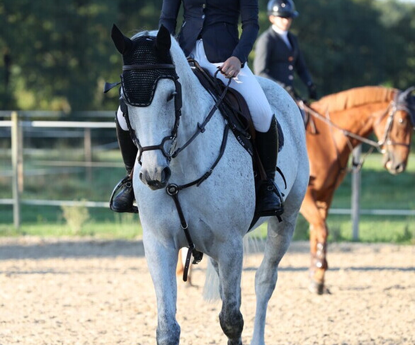 Description de l'image