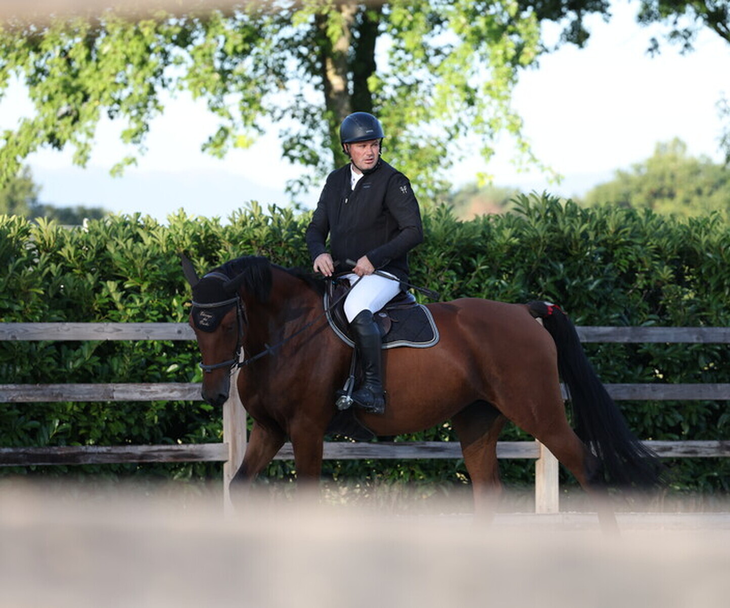 Description de l'image