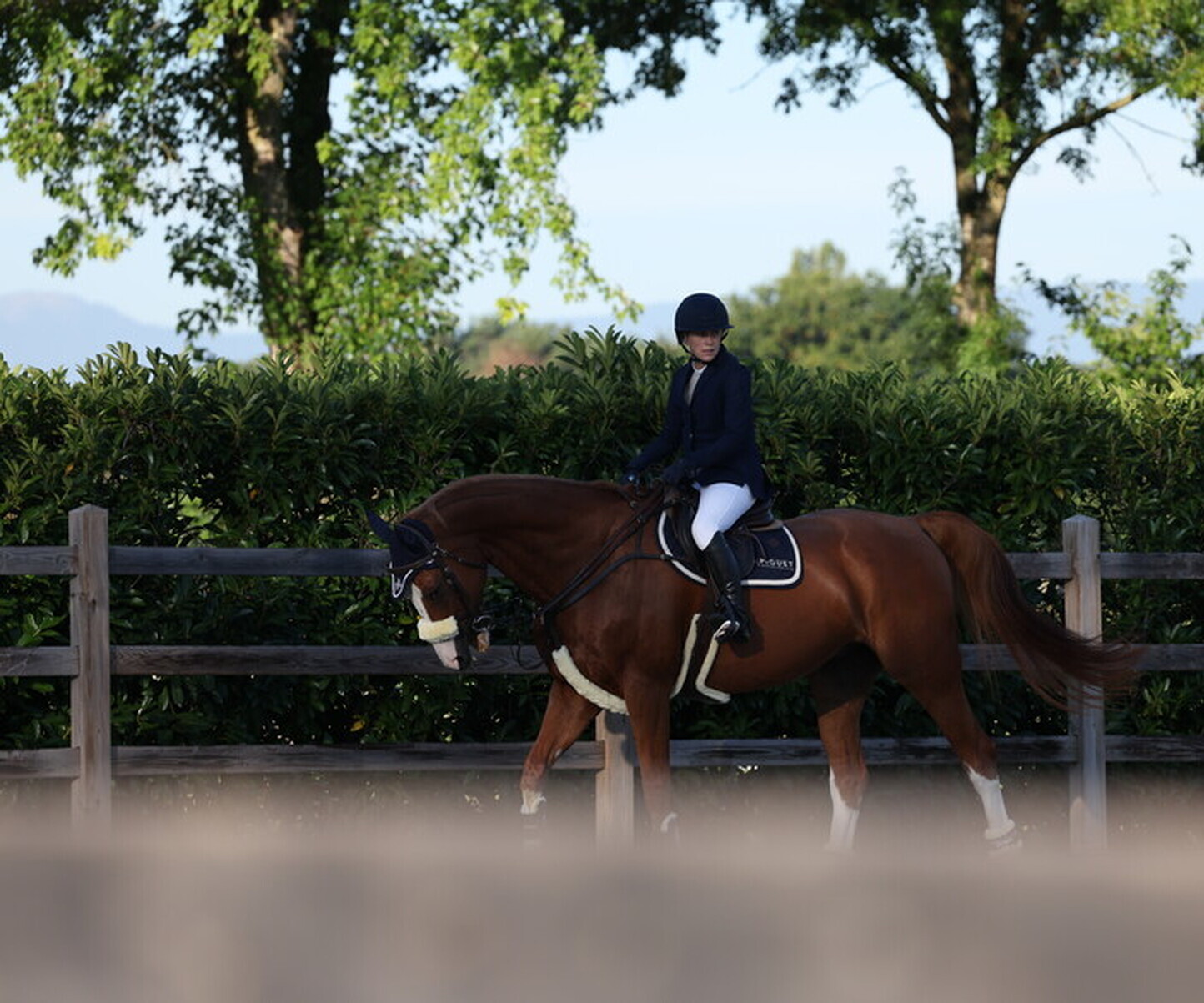 Description de l'image