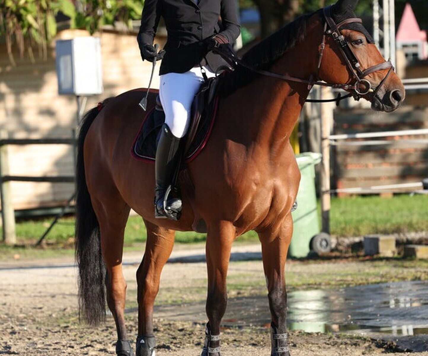 Description de l'image