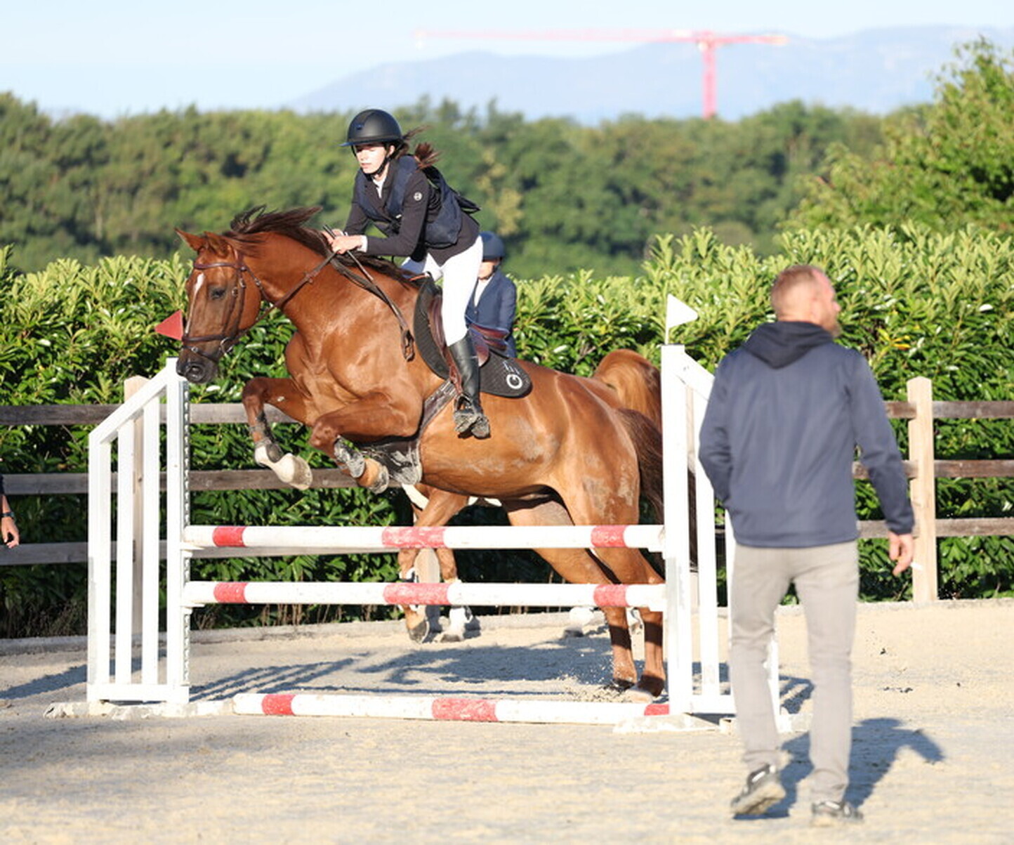 Description de l'image