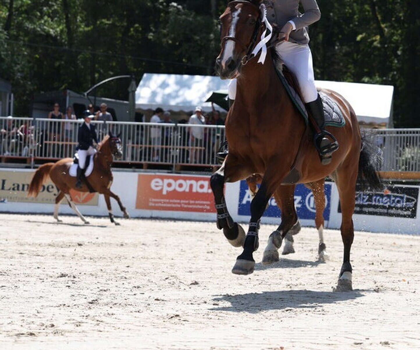 Description de l'image