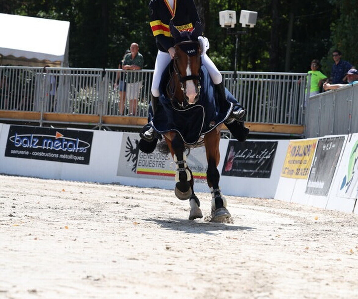 Description de l'image