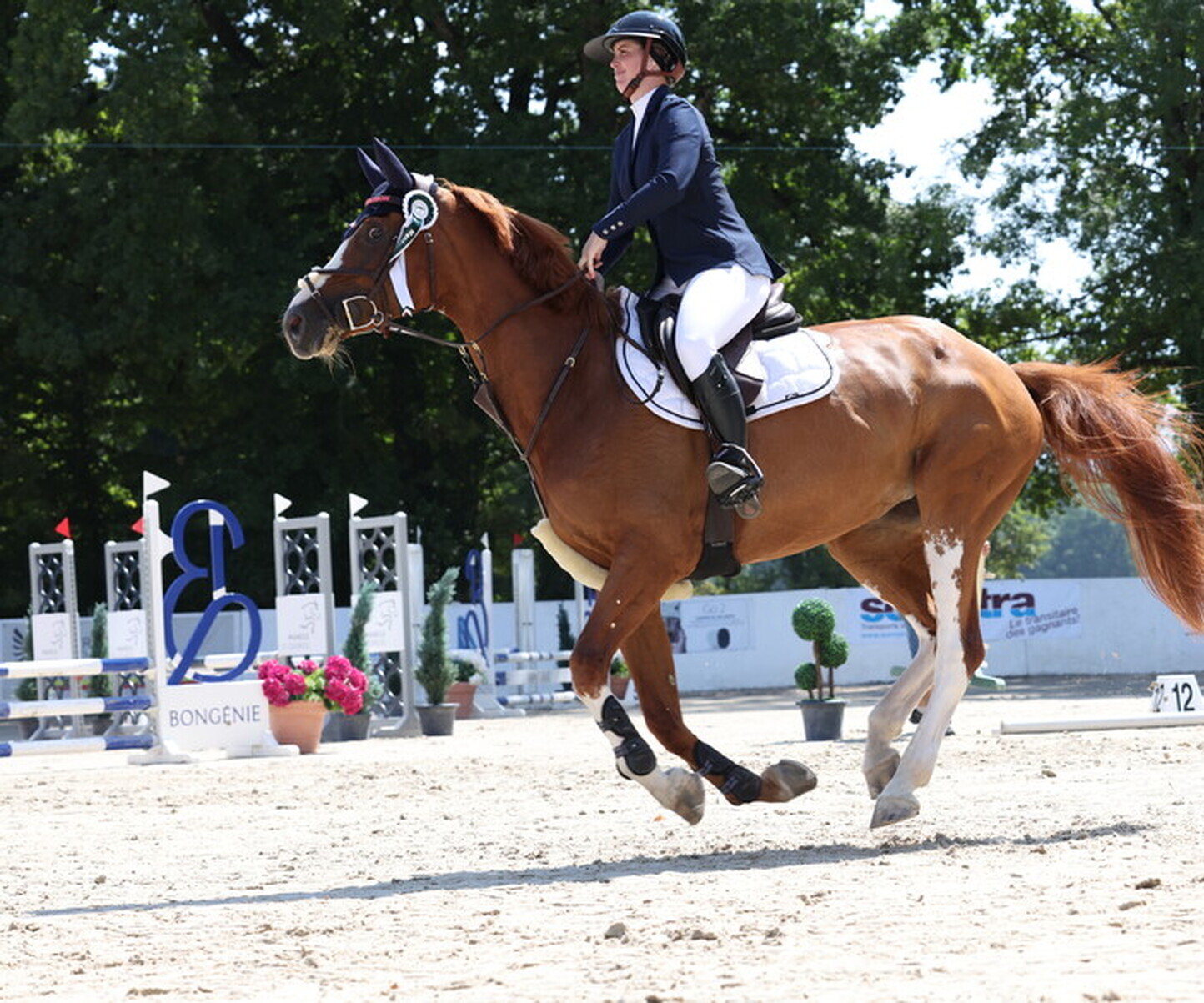 Description de l'image