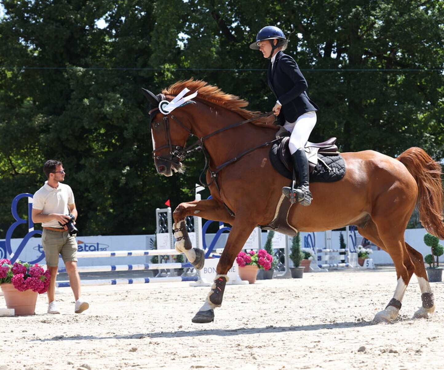 Description de l'image