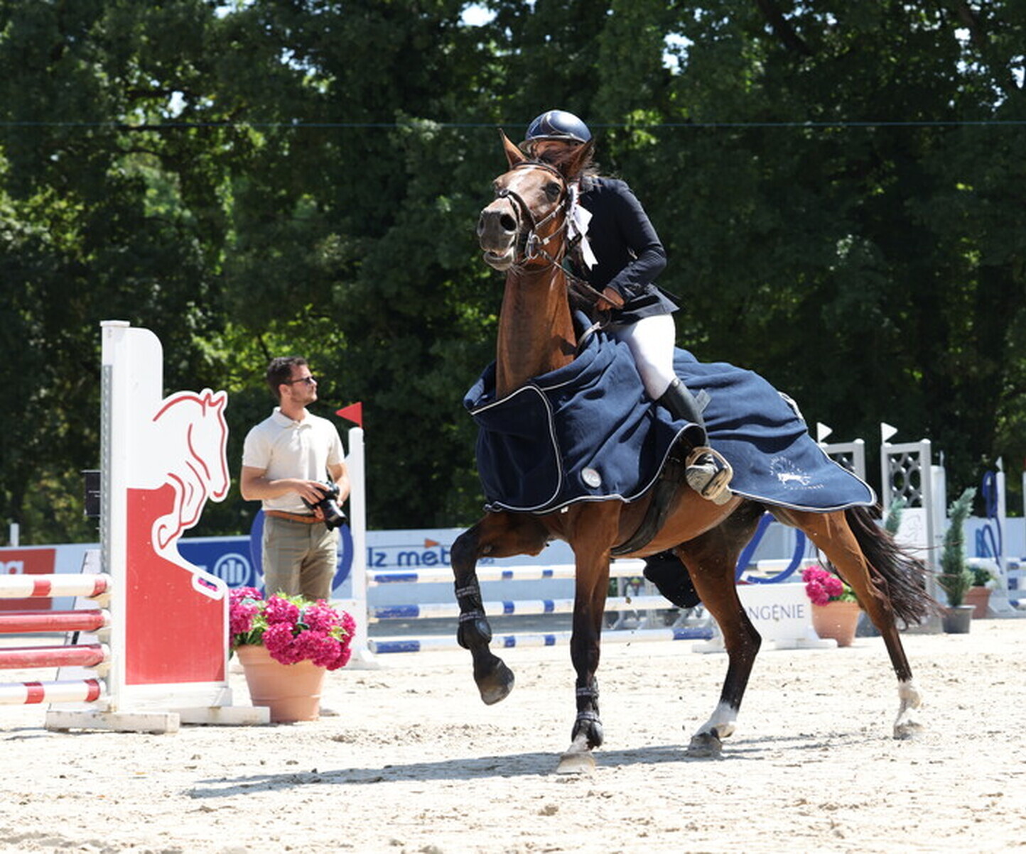 Description de l'image