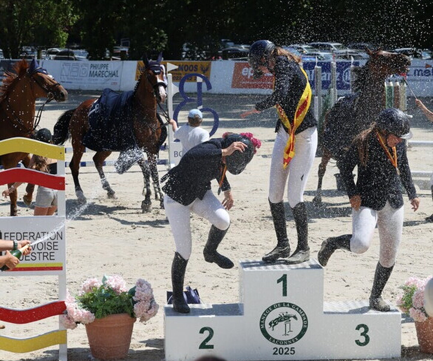 Description de l'image