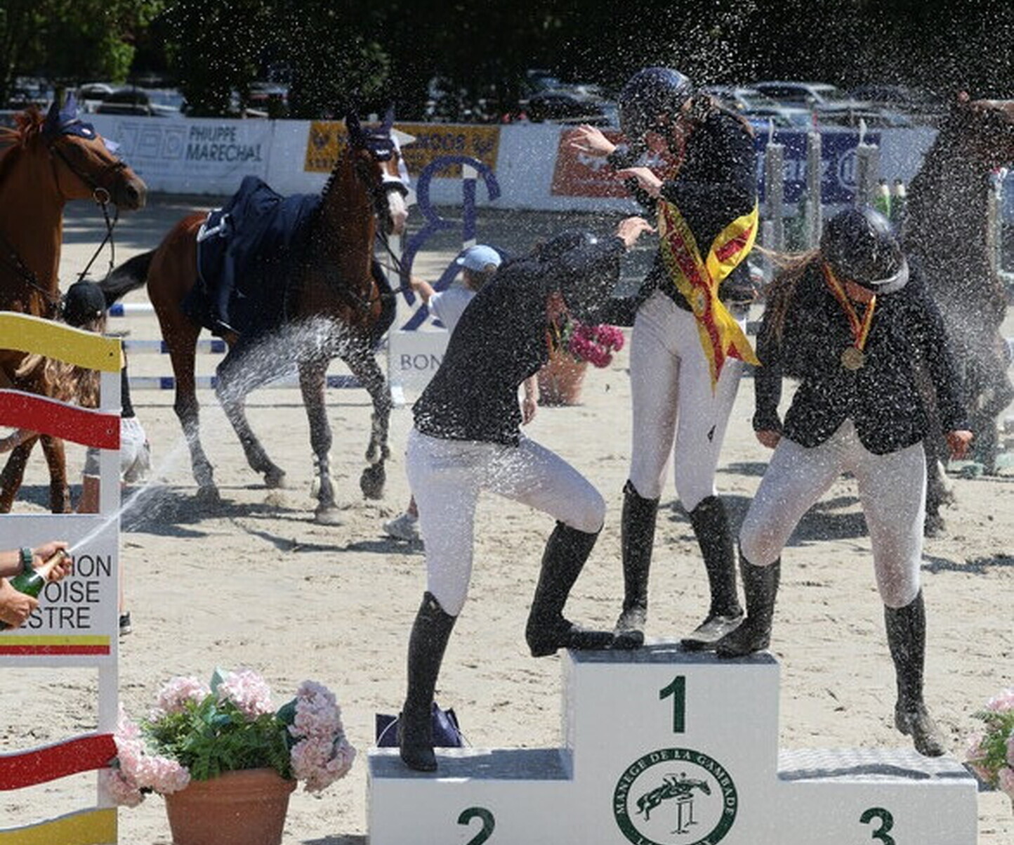 Description de l'image