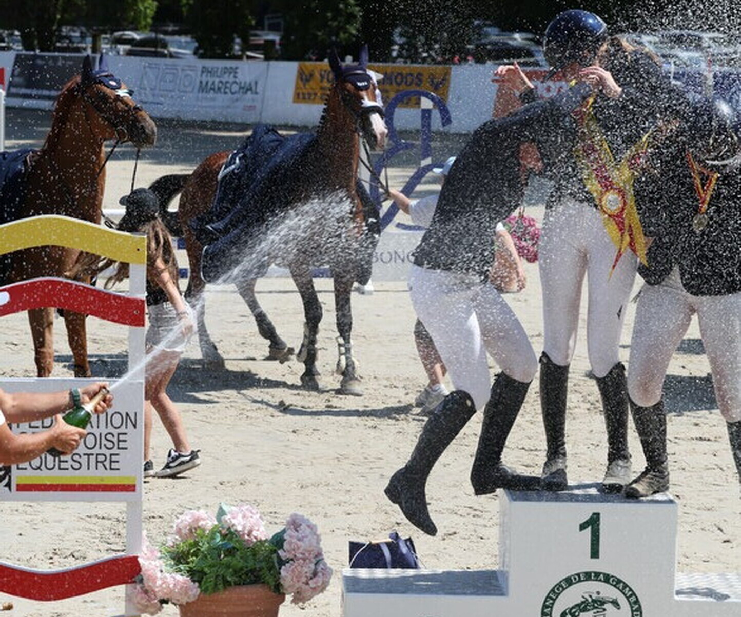 Description de l'image