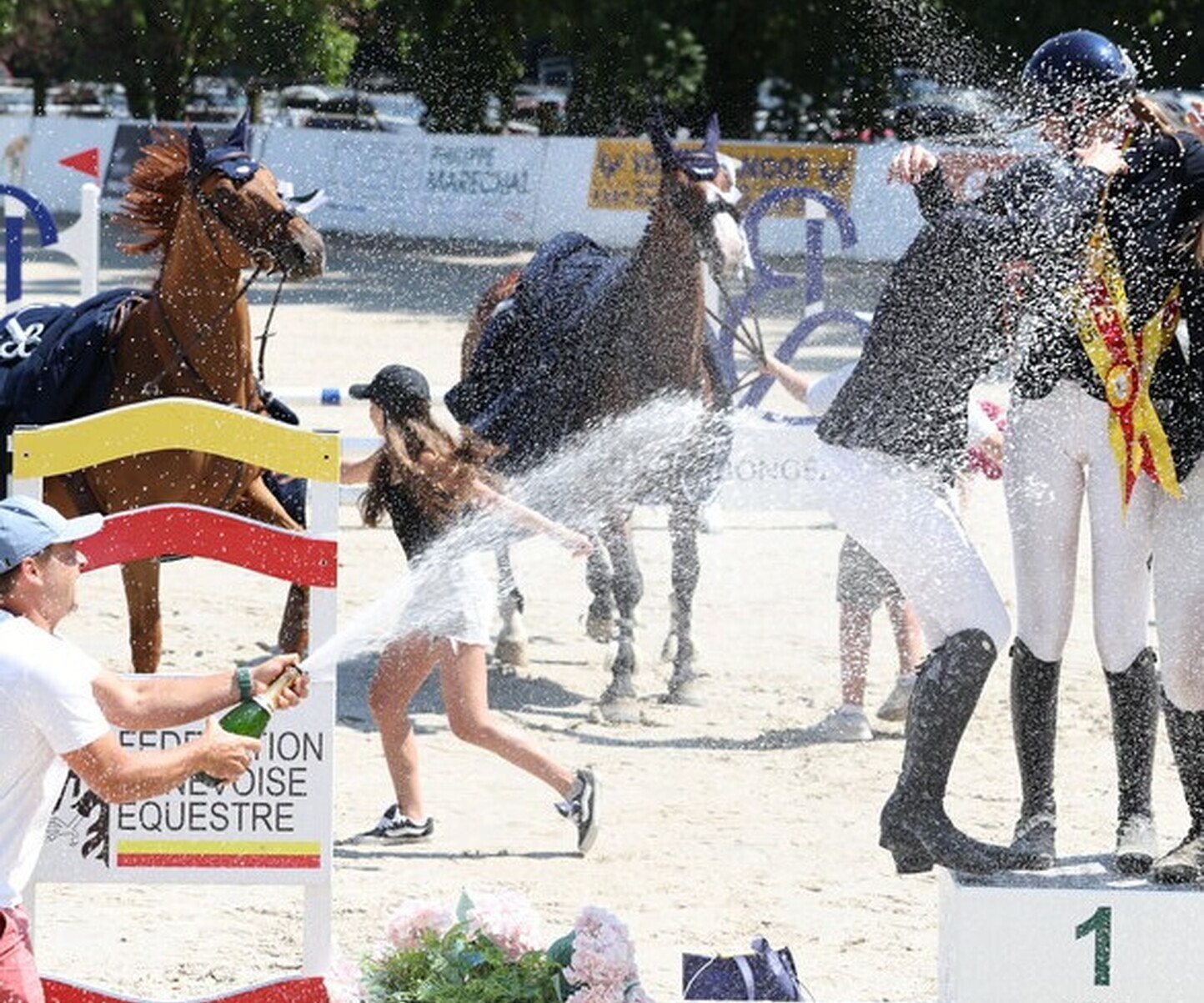 Description de l'image