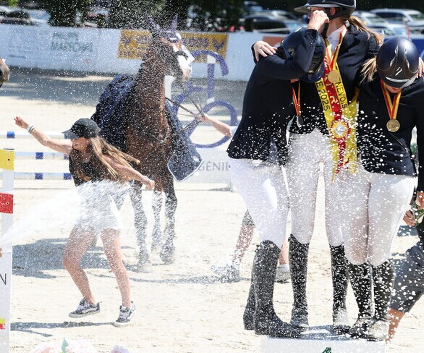 Description de l'image