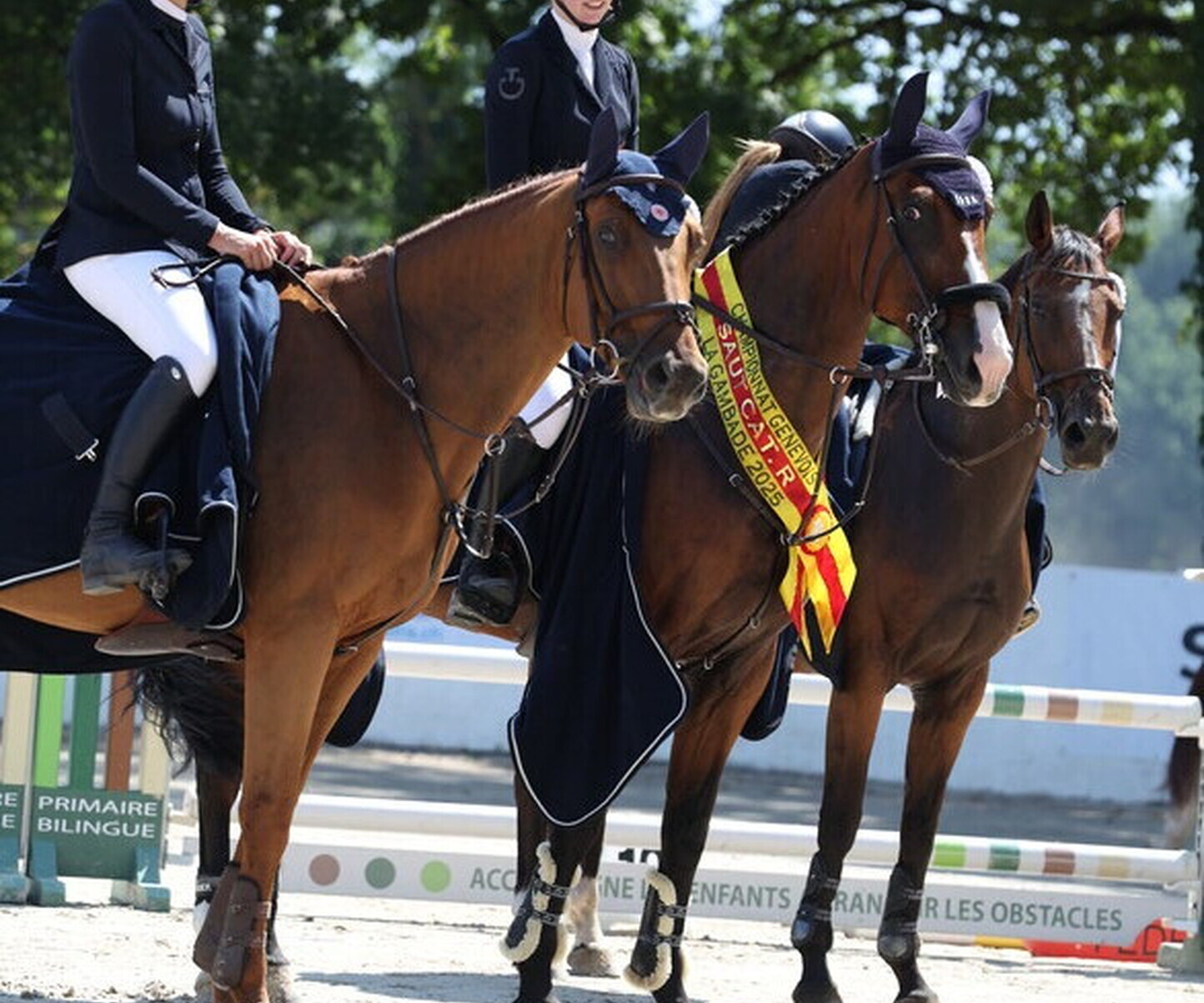 Description de l'image