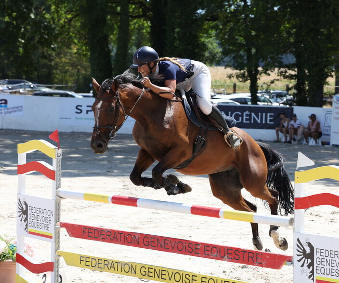 Description de l'image