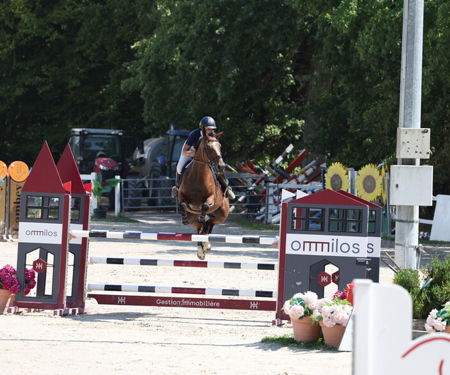 Description de l'image