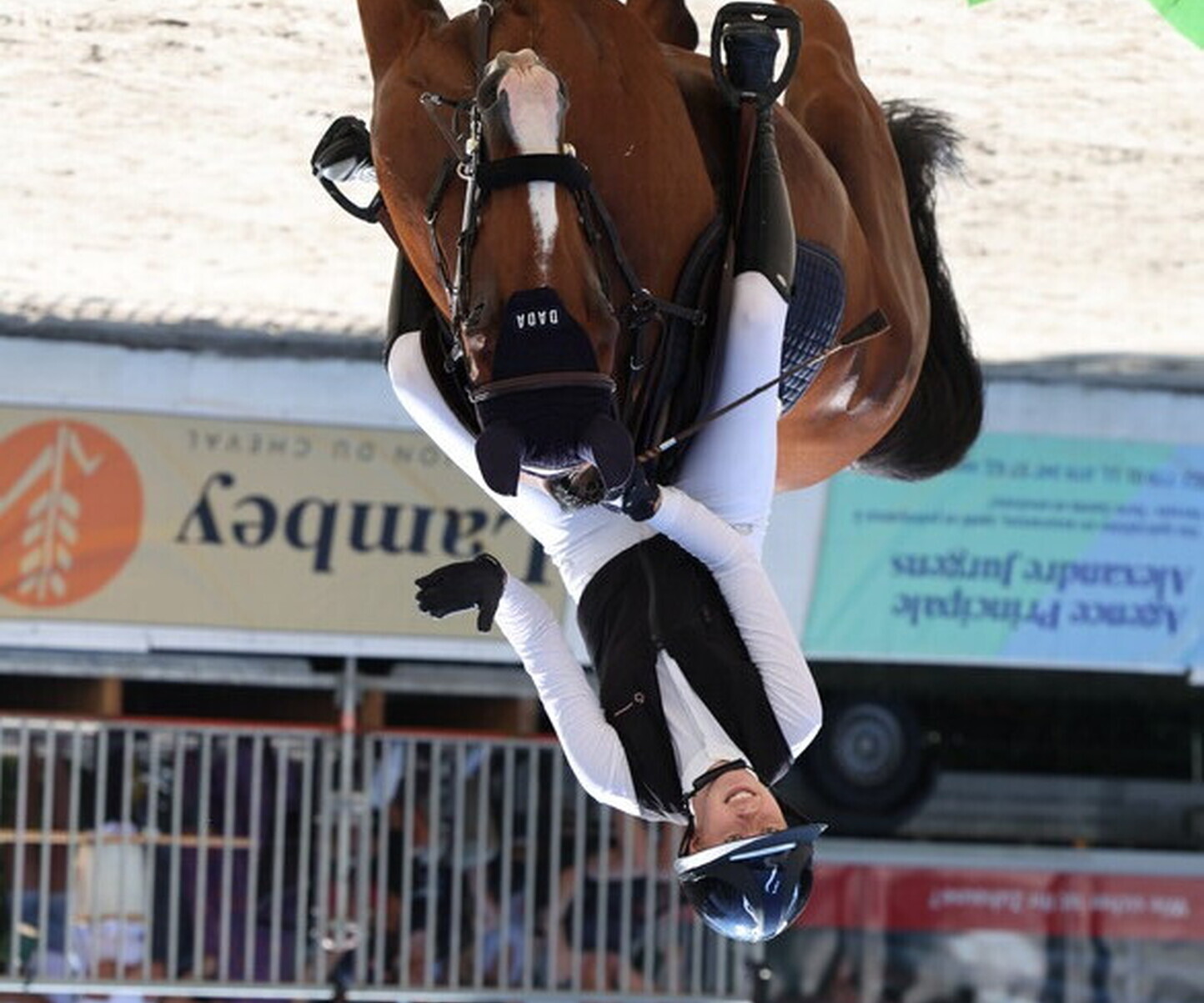 Description de l'image