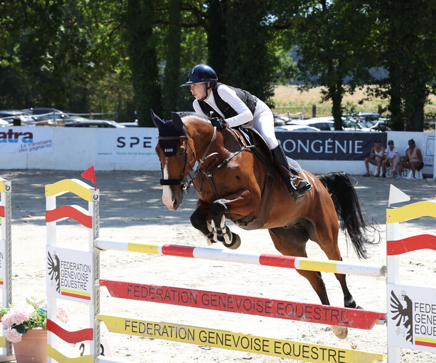 Description de l'image