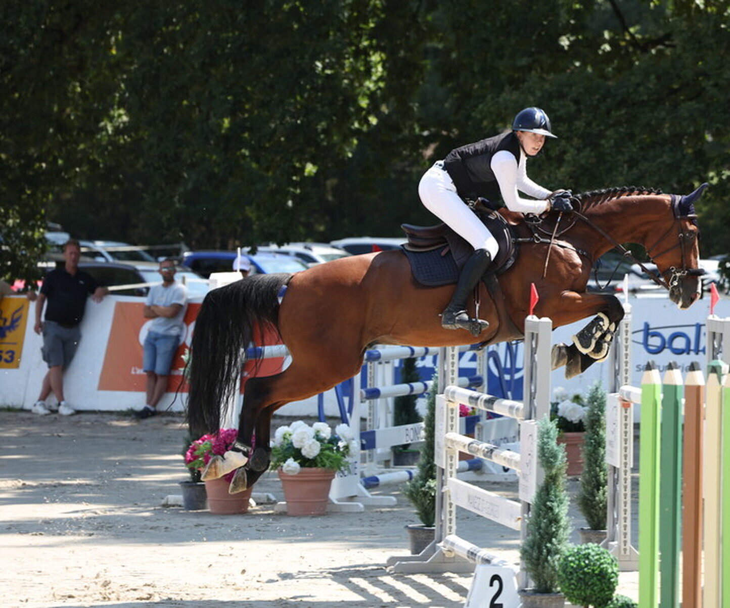 Description de l'image