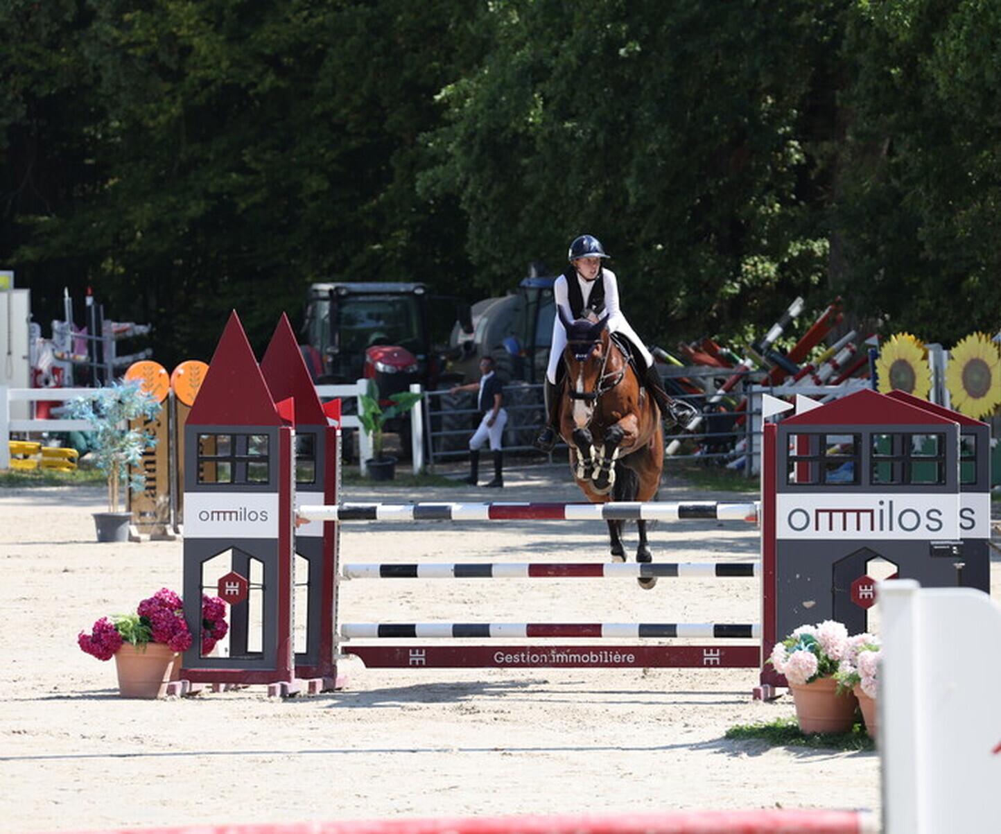 Description de l'image