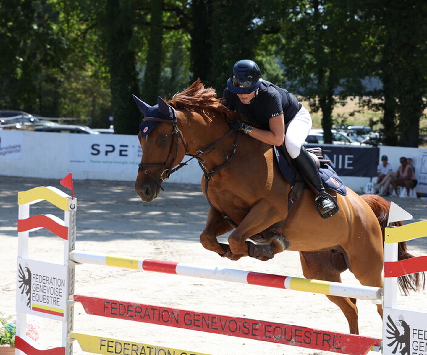 Description de l'image