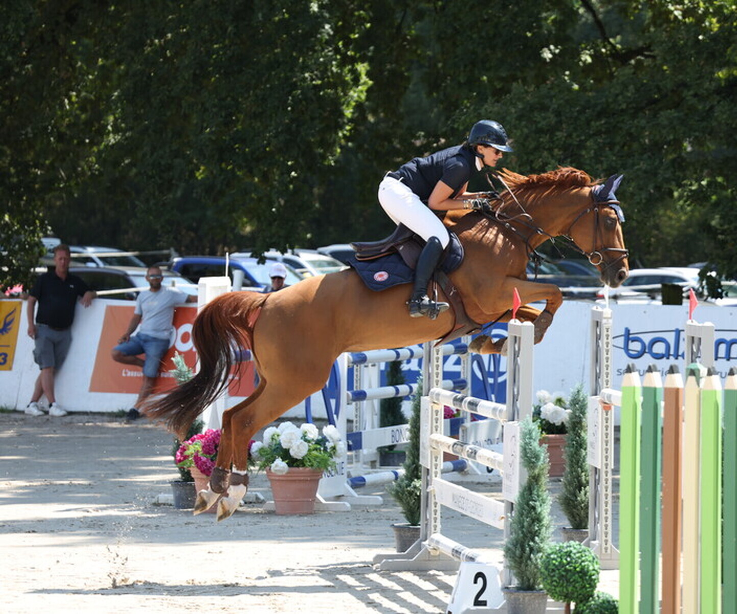 Description de l'image