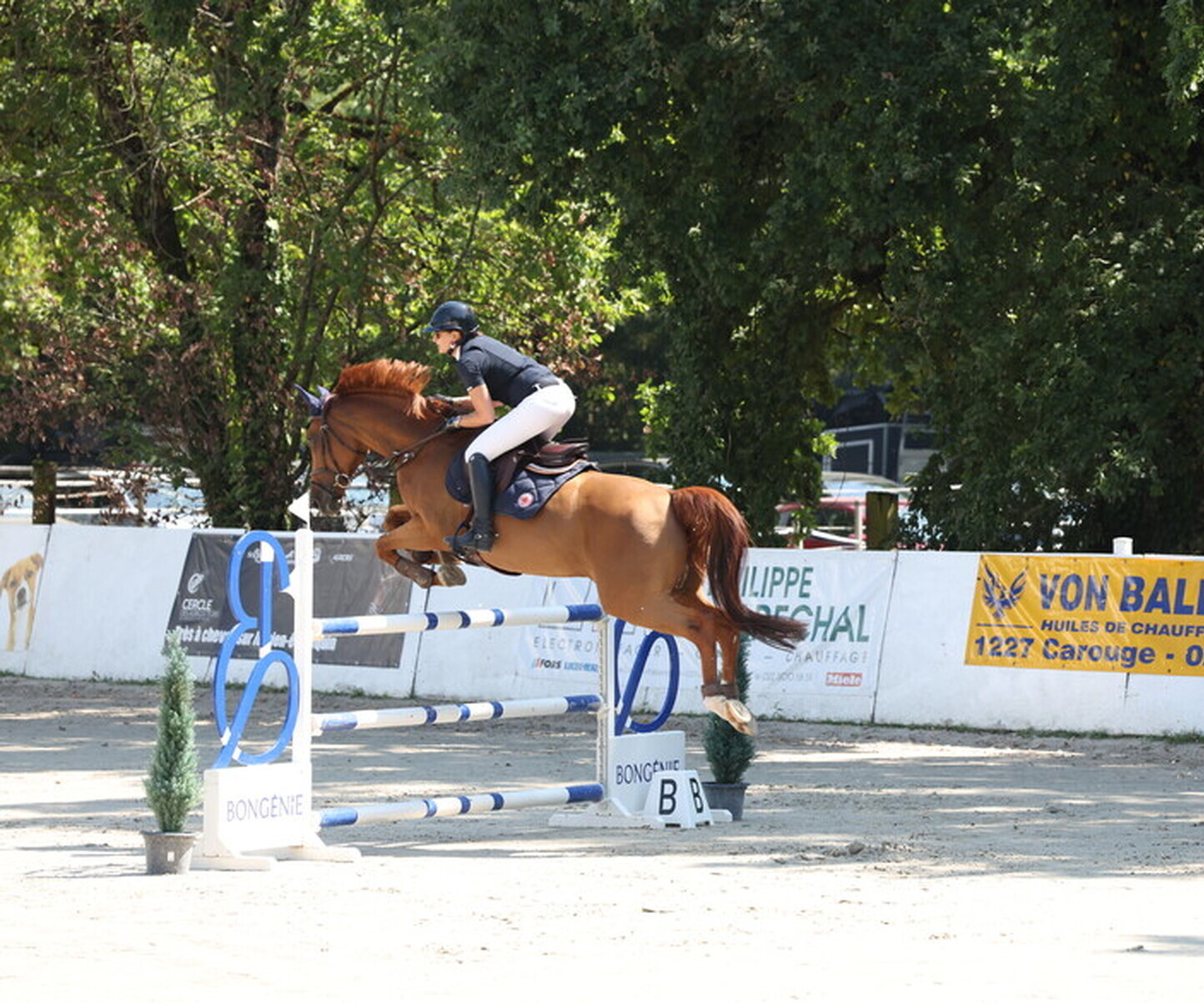 Description de l'image